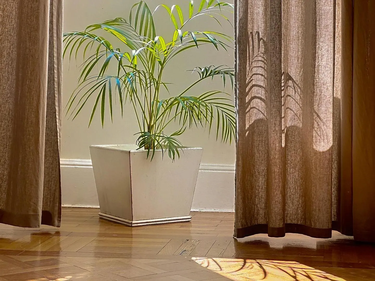 Bohemian Hideaway In The Old 니스 0*,  프랑스
